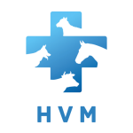 HVM